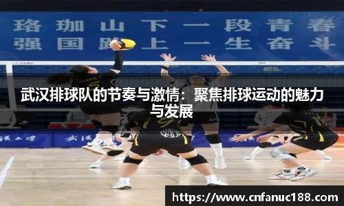 武汉排球队的节奏与激情：聚焦排球运动的魅力与发展