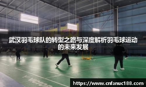 武汉羽毛球队的转型之路与深度解析羽毛球运动的未来发展